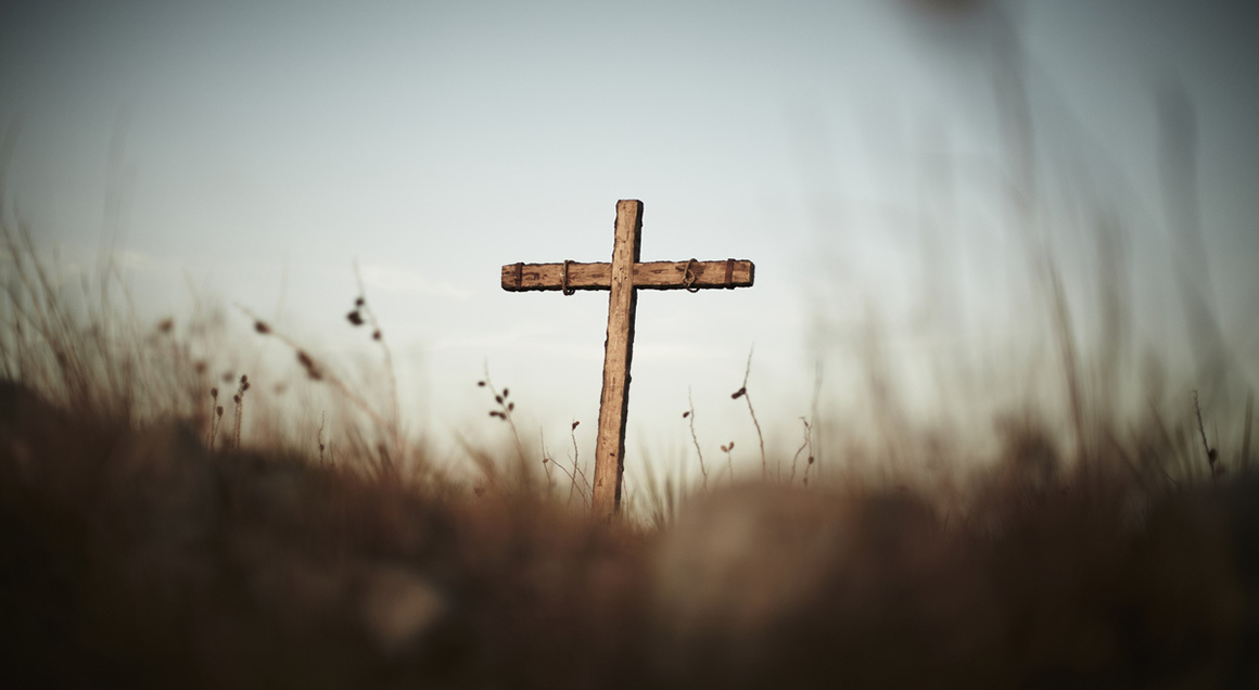Stock Cross in grassy field